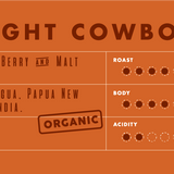 MIDNIGHT COWBOY